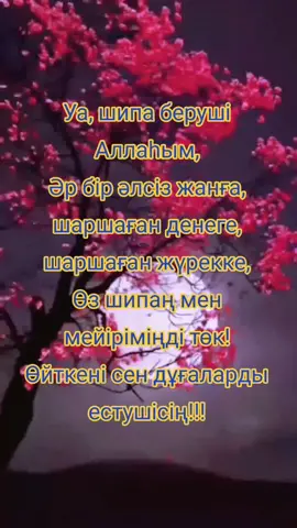 #денсаулықболсынеңбастысы✊💪 #күндеріңіз_сәтті_өтсін❤❤ #аллажарболсынбаршамызға🌸 #рекамендация #рееееккккккхоочу #уа #аллаһым #аллажарболсынбаршамызға🌸 #бақыттыболыңыздар🧸❤✅ #алламжарболсын #дұғаларыңыз #қабылболсын 