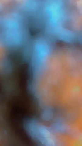 #hairbytoke✅🥰🥰🥰 #paronizemybusiness #trendingvideo #hairbytoke✅ 