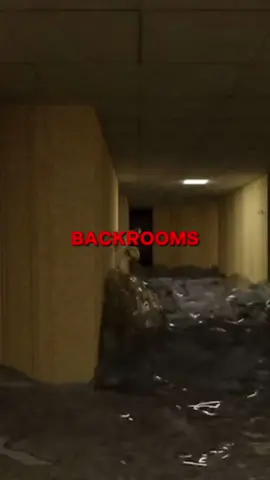 ⚠️🌊THE FLOOD - BACKROOMS FOUND FOOTAGE🌊⚠️ #backrooms #horror #viral #creepypasta #fyp #aesthetic #liminalspaces #dreamcore #weirdcore 