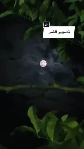 #تصويري#اكسبلورexplore #بري حالي ليت من سامرك لو ربع ليل #شيلات#حايلنا #الشعب_الصيني_ماله_حل😂😂 #foryou #tiktokchallenge #tiktok #foryoupage #fypシ゚viral🖤tiktok #viral #تصويرالقمر #fypシツ♡ 