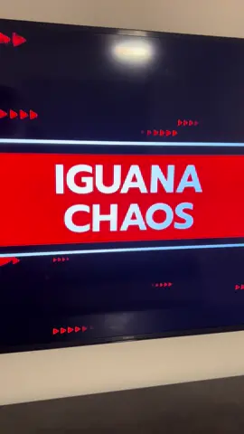 Cool little milestone for me… me and my boy recorded a video of him getting SHOOK by an iguana 3 years ago and it aired on @Ridiculousness JUST NOW!!! My commentary behind the camera was drained out by @Rob Dyrdek & Steelo but this was still cool to see my video in my backyard on MTV! 🙌🔥 #Stackz954 #FloridasFavorite #ExoticExpress #Iguana #Ridiculousness 
