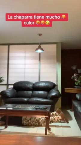 #fyp #mexicandad #mexicanmom #foryou #🇲🇽