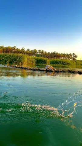 نهر الفرات / نواعير البغدادي  💙.                   #غيوم #tektok #تصويري 