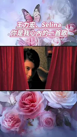 你是我心內的一首歌，天天唱，很歡樂….你是我心裡的一首詩，天天吟，很沉迷….你是我心裡的一朵花，天天澆水，日日開花….#王力宏#selena#你是我心內的一首歌#抒情歌曲#飛日記🍁