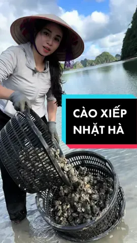 Thiên nhiên ưu ái cho #quảngninh rừng vàng, biển bạc, kỳ quan Thế giới, cả khoáng sản lẫn đặc sản #haisan #xiếpbiển #cáchcàoconxiếp #conhà #biển #LearnOnTikTok #xuhuong2023 #bepdoantrang #khámphá #ngưdân 