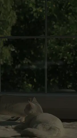 چی ئەبوو بتکردایە💀 #_4bdo 