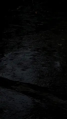 Rồi tự nhiên anh trong lòng lo thế nào #LearnOnTikTok #radiongampluss #tamtrang #lyrics #caption 