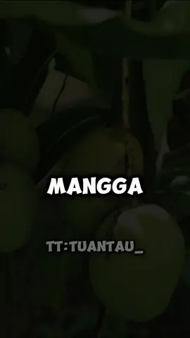 Apakah Kamu Tau? #fyp