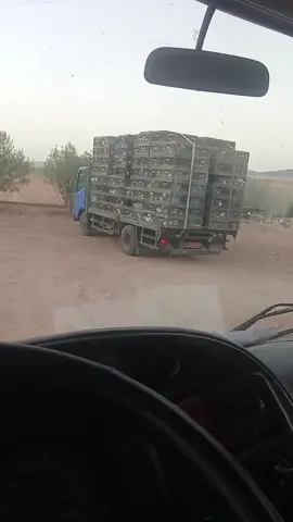 #سطايفي19💪💪💕💕 