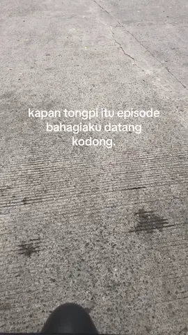 #fypシ #makassar #pettaranimakassar 