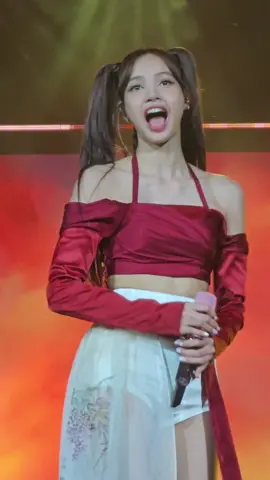 Chị iu Lisa của em đẹp xuất sắc huhu lần nào em cũng phải ré banh xác 🥹 4 lần bám rào sát rạt quá là xúc động #truonggdxx #vietnam #blackpink #concert #encore #blink #metub #bornpink #mydinh #hanoi #lisa 