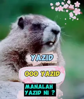 Text nama, sound boleh edit #tupaipanggilnama #soundtupai #tupaicomel #viralvideo #CapCut @dekfiq88 @MexMoney 