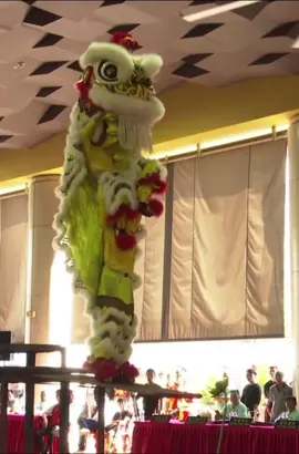 🇸🇬 2023 第二十七届義安城全国舞狮锦标赛  27TH Ngee Ann City National Lion Dance Championship 2023 （分区赛）west coast  亚军🥈🥈🥈 新加坡天鹰龙狮体学院 / Singapore Tian Eng Dragon and Liondance Center #新加坡 #singapore #singaporetiktok #singaporeliondance #马来西亚 #malaysia #malaysiatiktok #liondance #mualan #tariansinga #liondancecompetition #liondanceperformance #醒獅 #醒狮 #舞狮 #高桩舞狮🦁 #高桩 #舞狮比赛 #舞狮表演 #舞狮生活🦁 #舞狮运动 #liondancetiktok #liondancer #liondancing #liondancelife  #liondancemalaysia #barongsai #múalan #mualansurong #lansurong  #高桩舞狮  #liondance2023 #第二十七届義安城全国舞狮锦标赛 #義安城 #義安城全國舞獅錦標賽 #ngeeanncity #ngeeanncityliondance #传统器材阵式 #新加坡天鹰龙狮学院 #tianeng 