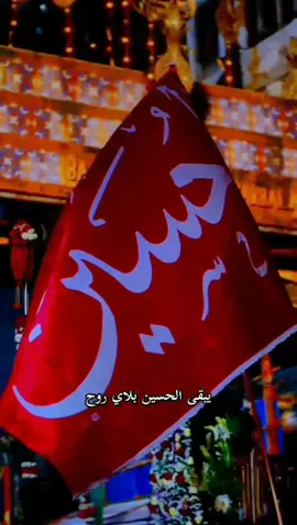 يالانت روحي ومن تروح ياعلي يوليدي ياعلي 💔🥺 #السلام_عليك_يا_ابا_الفضل_العباس_ع  #السلام_عليك_يااباعبد_الله_الحسين  #ياعباس_ياحسين #ياشهيد_كربلاء  #يازينب_حملتيه_شلون_مصيبة_العباس 