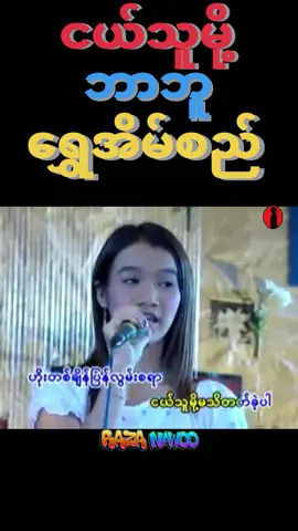 #ငယ်သူမို့ #ဘာဘူ #ရွှေအိမ်စည် #စိုးလွင်လွင် #သီချင်း #song #ငယ်ဘဝကိုအမှတ်ရစေသောသီချင်းလေး #CapCut #foryoutiktokmyanmar #razanawoo😍😍😍😍😍 #ငါဟာရာဇာအာပလာမဟုတ်😂 