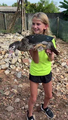 Bài học nhỏ yêu thương động vật cho trẻ từ bố mẹ phương tây #LearnOnTikTok #dulich #vietnam #xuhuong 