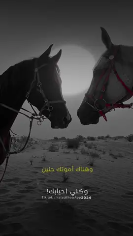 هذا مكان الهموم وهذي طعونك #اناشيد #فراق_الحبايب💔 #فراقك_صعب #شيلات_روعه_خواطر_ذوق #حالات_خيول_حزينة