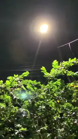 asik ni#fucku #vidiostory #mentahanslime #mentahanliriklagu #wong_pusat 