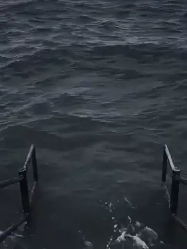 ngta phải gội Trần Bình là thần đồng nét thật😂#meme #xuhuong #tranbinh #lienquanmobile #hailienquan #zukanopro 