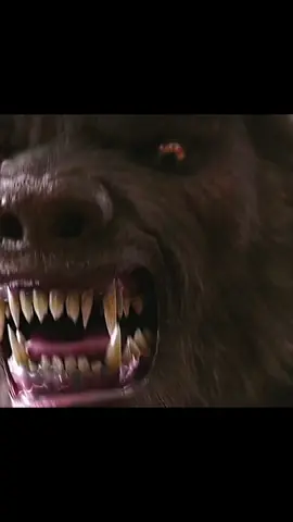 #justmovie23 #action #flim #best #fyp #foryou #foryou #viral #cars #carracing #HDCartoon23 #justcartoon24 #scene #movie #clips #fyp #fullmovie #clip # #foryoupage #movieclips #2023 #movieclips #moviefinder #flimclips #movietok#movienight