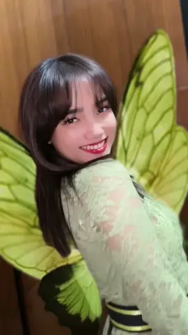 Maaf gaada baju tinkerbell