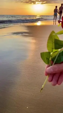 #مناضر_طبيعيه #ورود @S&M♡ 