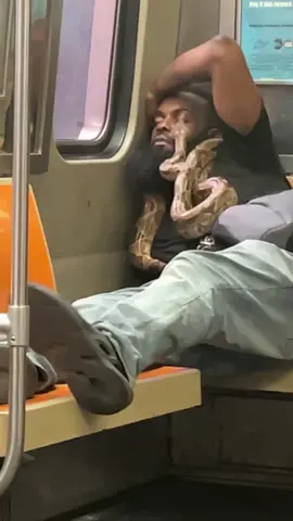 Wild… #subwaycreatures #fyp #foryoupage #iloveny #subway #snakesoftiktok #snakes #wtf 