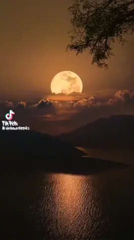 #مقاطع_دينيه #الشيخ_محمد_المحيسني #اسلاميه #مسك #ارح #تلاوه_خاشعه #تلاوة_خاشعة_صوت_يدخل_قلب #ترتيل 