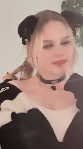 Коты меня не оставляют #мяу #мурчащиекоты #йоу 