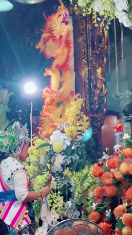 Thanh đồng họ Hoàng Nguyễn Phương Thảo nhất tâm loan giá hầu Cô bé Thoải phủ 🙏❤️❤️#hoangnguyenphuongthao #cô_bơ #tứphủ #đạo_mẫu #đạomẫuviệtnam #đạomẫuviệtnam #căn_đồng_số_lính #phậtphápnhiệmmầu #tín_ngưỡng_thờ_mẫu #xuhuong #haudong #xhtiktok #tinnguongthomauvietnam #trending #tamphucongdong #tuphuvanlinh 