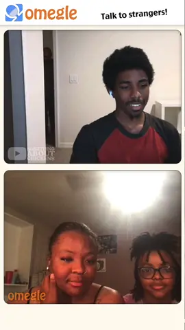 SomethingAboutChickens on YouTube🐔