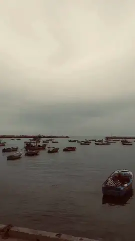 في الثرى يحلو الرقاد🩶. #بدون_موسيقى #تيك_توك #اكسبلورexplore #تصميم_فيديوهات🎶🎤🎬 #ترند #تصميمي #تصويري #رفح #تركيا #غزة #فلسطين @Bɪℓαℓ⁷ @Bɪℓαℓ⁷ @جـــٓـفـَـا . 