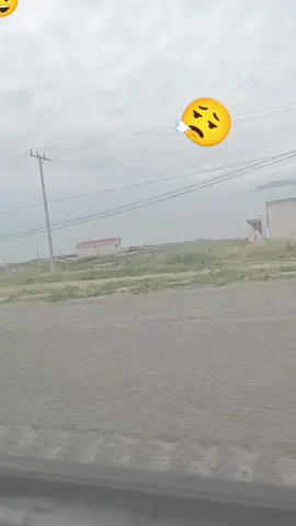 #CapCut #eychofer #amor❤️ #letrasdecanciones🎧🎶 #fypシ゚viral #fypシ #parati #lostigresdelnorte🤠🇲🇽🥺❤️ #pesopluma #alfredoolivas #viralvideo #viraltiktok 