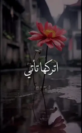 اتركها لله