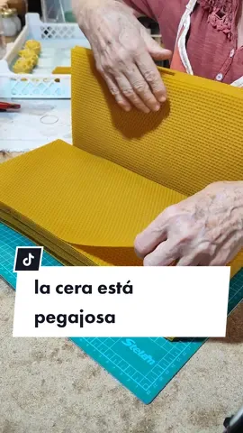 Hace tanto calor, que las láminas de cera de abeja están muy elásticas y pegajosas. www.cereria-pinsart.com  Mira todas las velas que hacemos en la Cereria Pinsart. Velas de cera de abeja 🐝 Velas aromáticas de cera de soja 🍃 y Pantallas de cera decorativas ❤️‍🔥 . . . #velasdeceradeabeja #velasaromaticas #velasdesoja #velasdecorativas #velas #artesania 