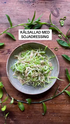 Dressingen är tagen direkt från @jennie Walden . Drömgod!  Receptet hittar ni på min instagram enmatsked eller såklart hos Jennie själv ⭐️⭐️ #kålsallad #soja #sesam #matstylist #foodstylist #content #contentcreator #socialmediamanager #ugc #foryoupage 