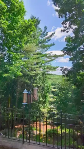 ☀️🌳 As always, everything is available in my Amazon store 🤍 #momlife #4under4 #twins  #adayinmylife #asmr #cleaningwithgabie #CapCut 