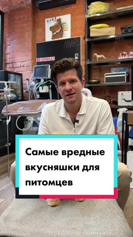 Самые вредные вкусняшки для питомцев #собака #мальтипу #питомец #домашниеживотные #полезныесоветы #лечениеживотных #ветеринар #ветеринарКириллСачков