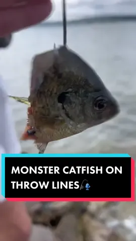 Those last second rods came in big time ‼️🕰️ #nebraska #southdakota #fishing #throwlines #catfish 