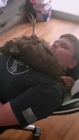 if only she had backup 😤 #Ridiculousness #ExoticPets #Weird #Chicken #Funny