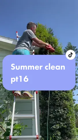 Summer clean pt16#CleanTok#clean#cleaning#yardwork