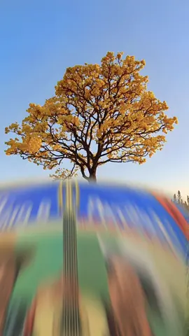 Seja bem vindo mês de agosto! Que Deus abençoe a todos! #tiaocarreiroepardinho #tiaocarreiro #brutaerustica #sertanejoraiz ##obrigadodeus #rodeo #modao #rodeio #countrylife #countrymusic #barretos 