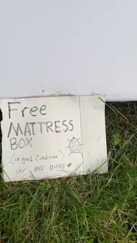 I was gotten bad with one of these free mattresses before! #bedbugs #kindnesscontent #mattress 