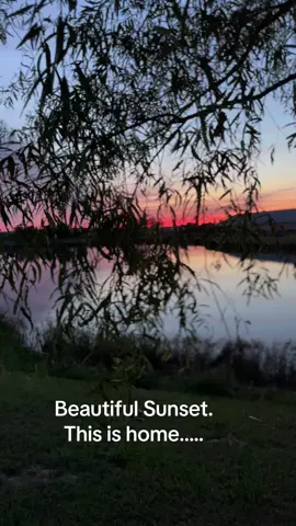 This is home….#sunset #sunsetlover #fyp #foryou #beautiful #alamaba #country 