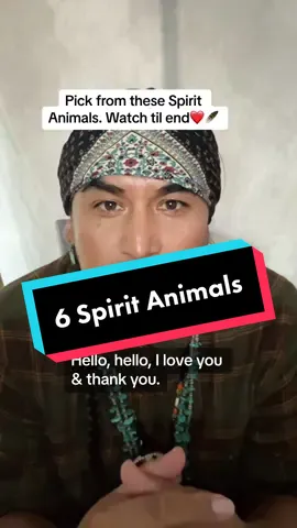 Comment your spirit animal.❤️🪶#nativetiktok #IndigenousTikTok #indigenous #navajo #fyp #foryourpage #foryoupage #viral #trending #fy #nativetiktoks #foryou #fypage #thankyou #iloveyou (Picture Credit: Isaac Spotts IG Page: isaacspicz) 