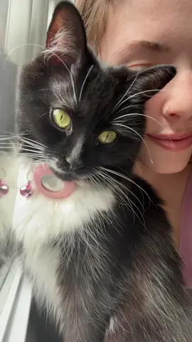 Jiji❤️ ig: iamjazminesinging