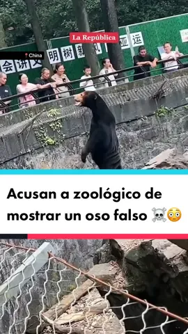 😳💀🇨🇳🐻 || #China #Oso #OsoFake #OsoFalso #Zoologico #ZoologicoChino #Real #Disfraz #Viral #Fun #News #Noticias #TikTokNews #LaRepublica 