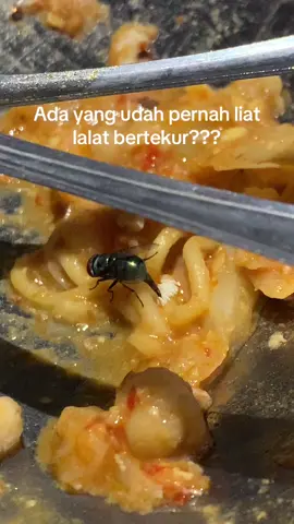 Ini kita lagi jajan di luar ya, dan makanan ini udh ngk di makan lagi setelah beberpaa menit ada lalat dan dia bertelur dong haha 