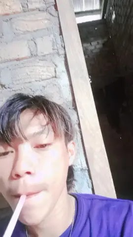 hisapan pertama #bull  #fypシ゚viral  #nyantai #tiktok 