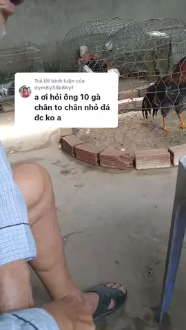 Trả lời @dym8y35k8kyf những ae mà mình chưa tl ae được ae thông cảm cho mình nha ae,c,on ae nhiều 